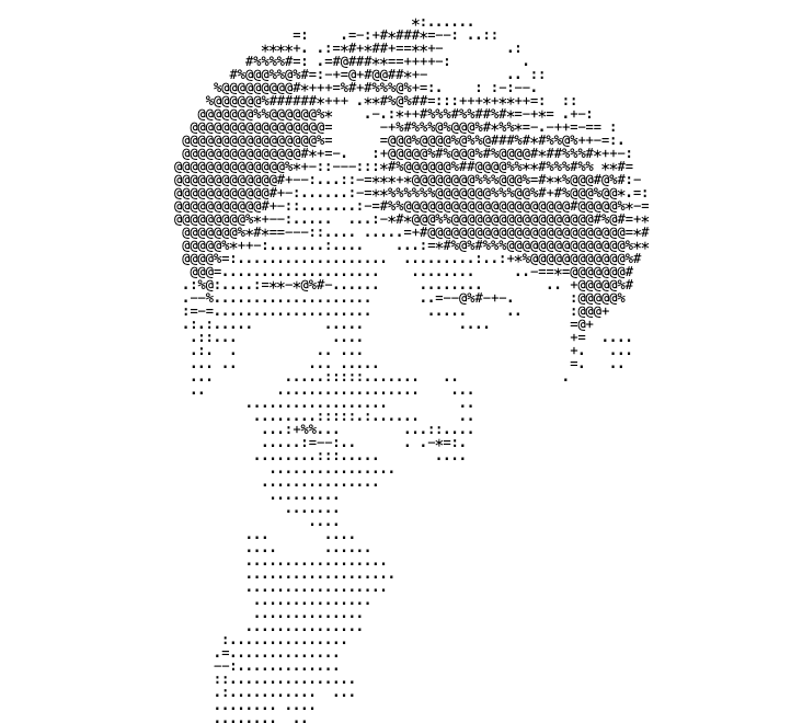 Portrait of Yanbo Wang